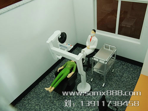 医用教学模型