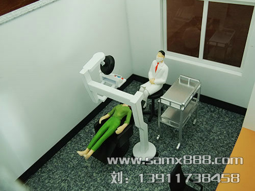 医用教学模型